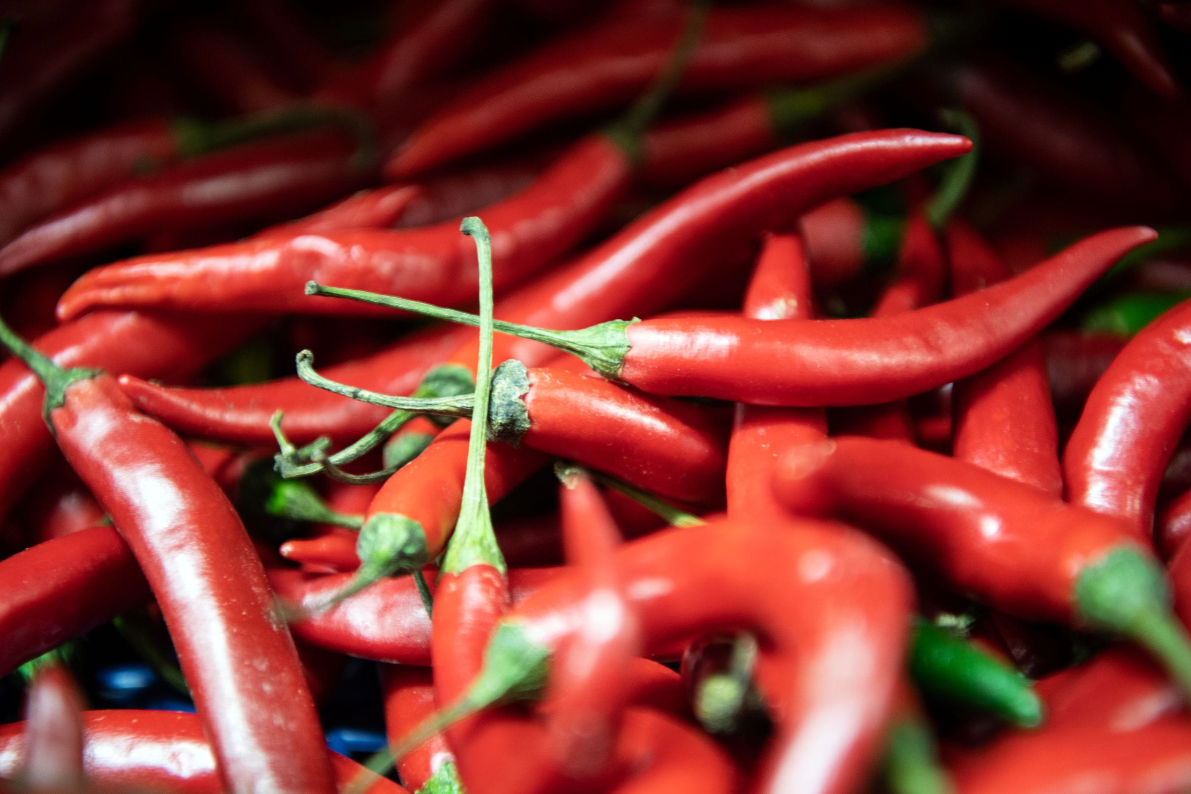Fresh chillies
