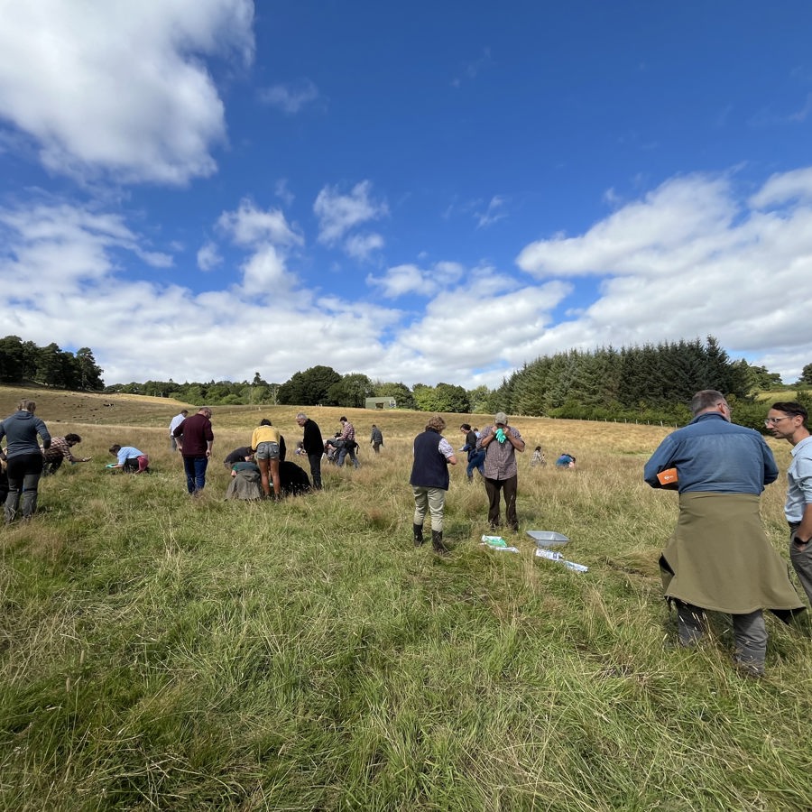 guardswell-perthshire-group_scotland