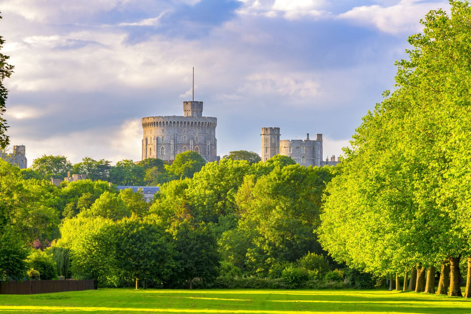 A large castle set among mature trees