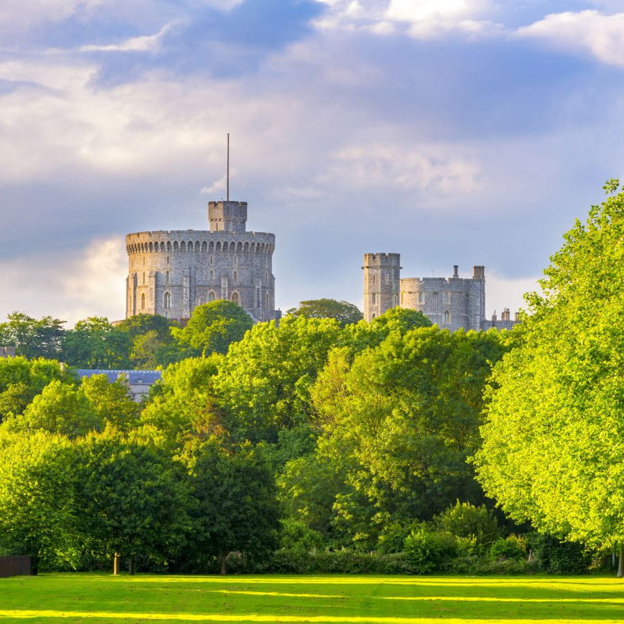 certification_forestry_windsor_castle_trees_content_organic_shutterstock_446759233.jpg