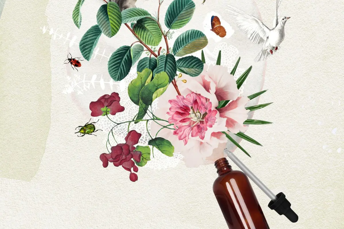 An illustration of flowers, leaves, insects and a bird bursting from a glass dropper