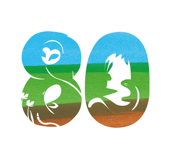 80_logo