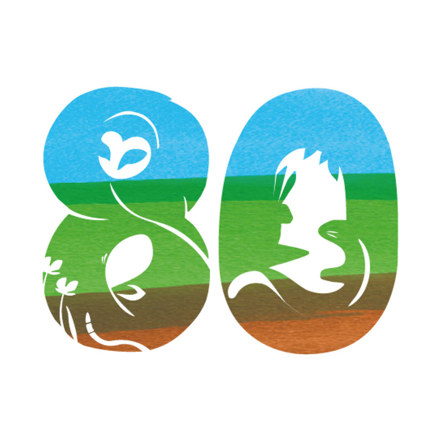 80_logo