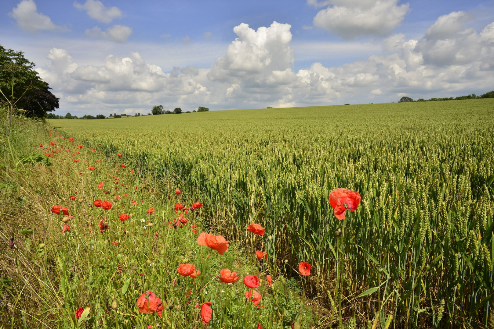 Organic farming magazine