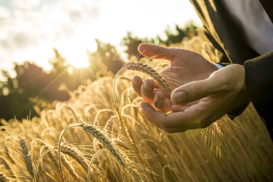 Arable prices