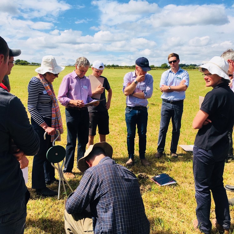 Group of people on field lab meeting, watching a crouching man at centre carry out a demonstration. 