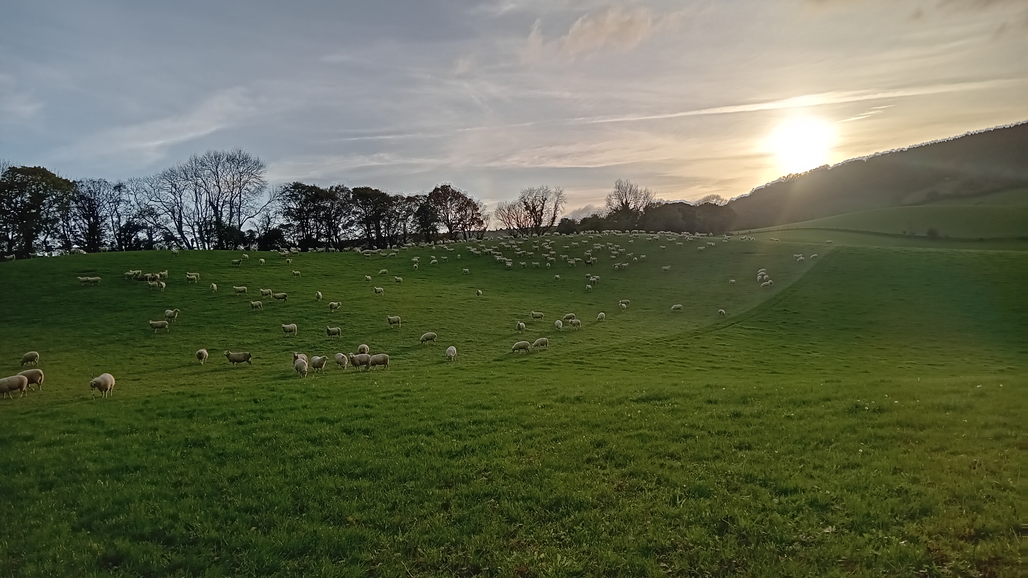 aas-higher-thornton-farm