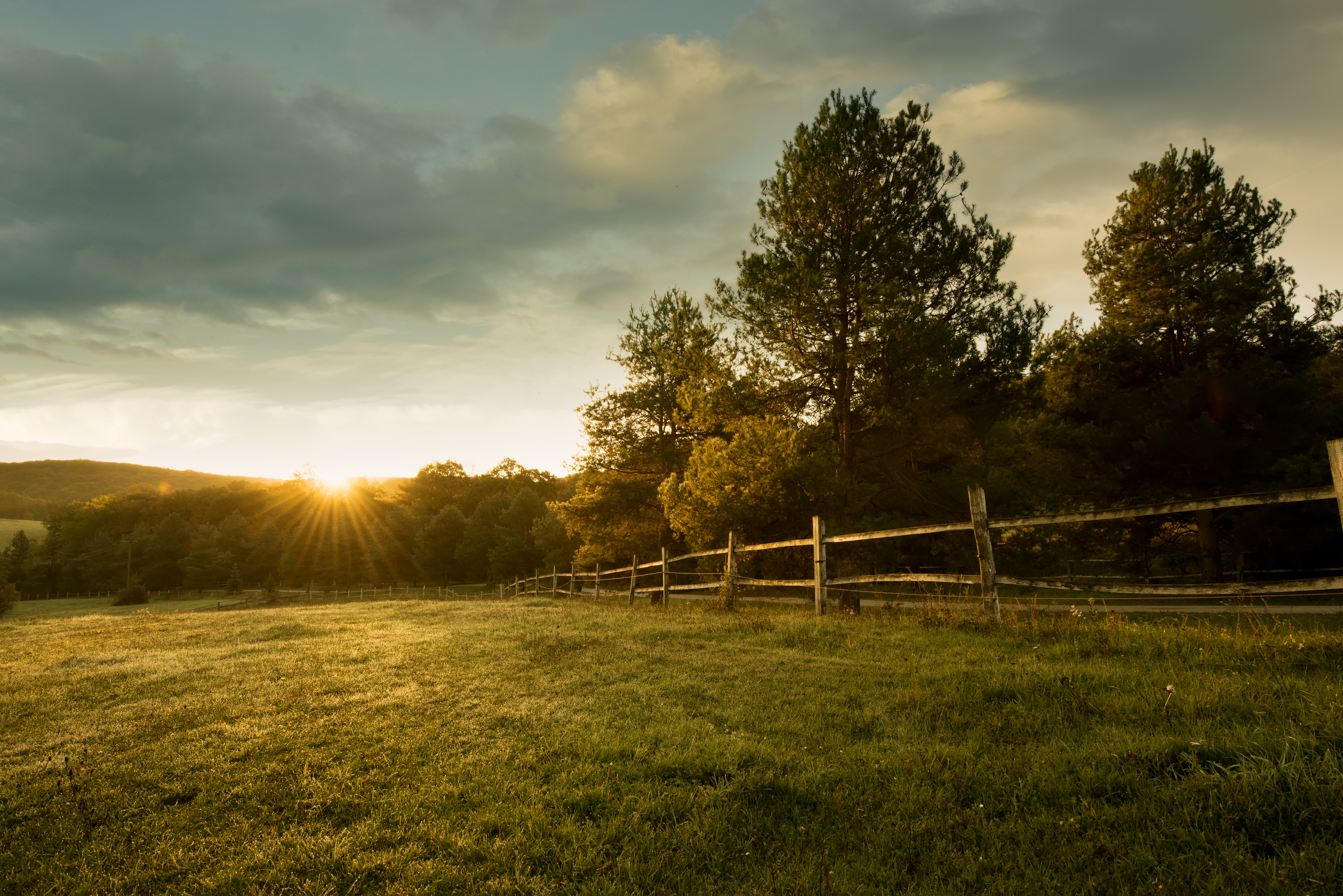 sunset-field-fence-trees