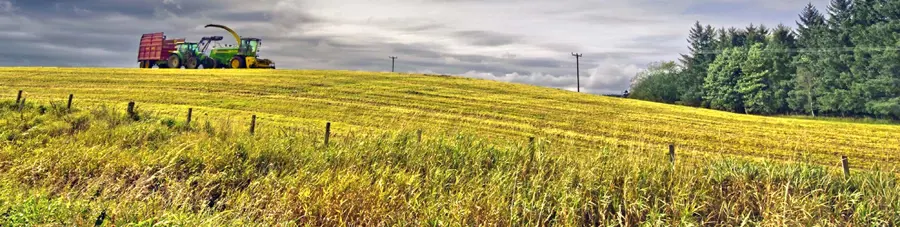 A tractor driving across a landscape with a yellow field and forest