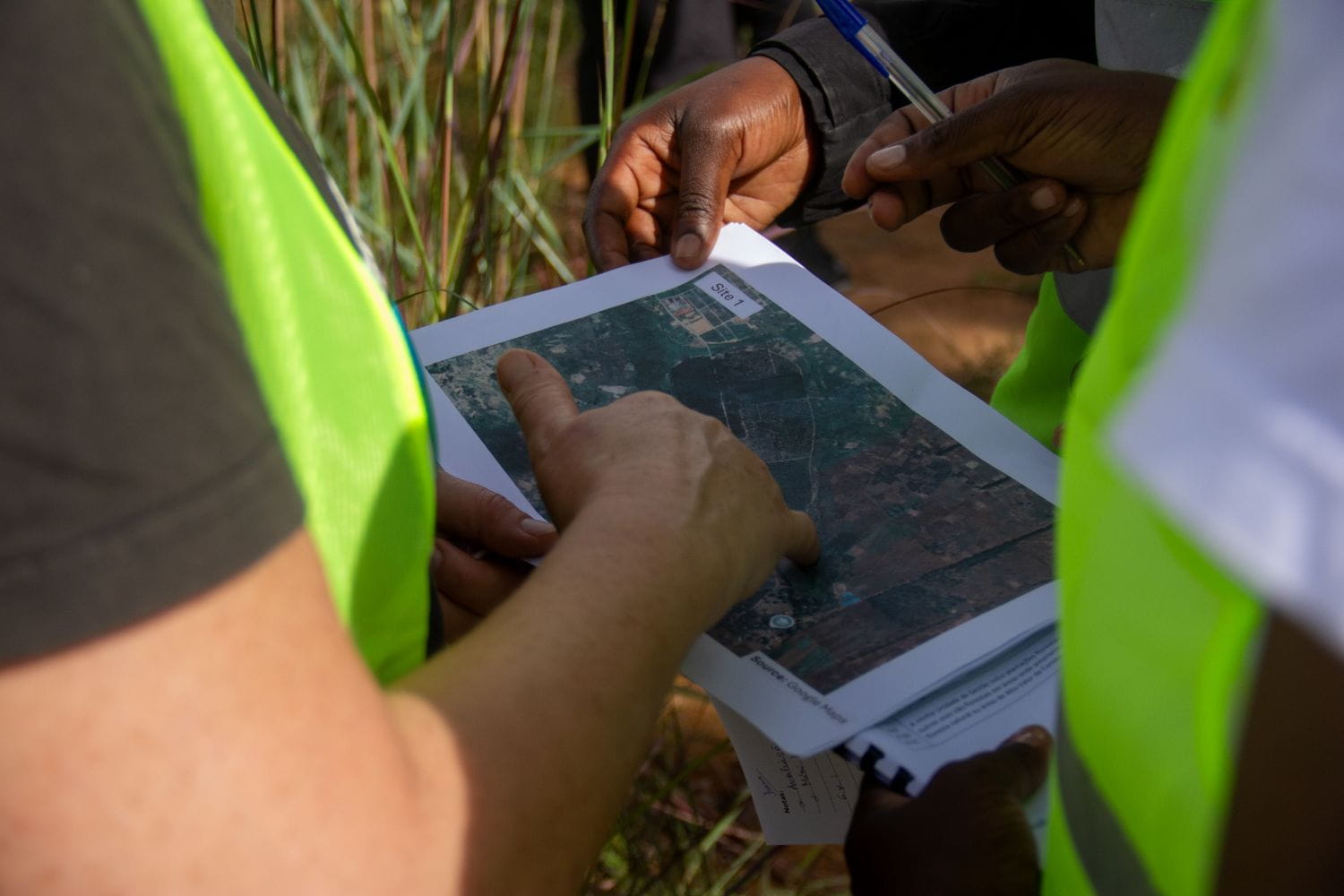 fieldwork_angola_content_non-organic_CREDIT_VICTORIA_MARQUES_14.05.26.jpg
