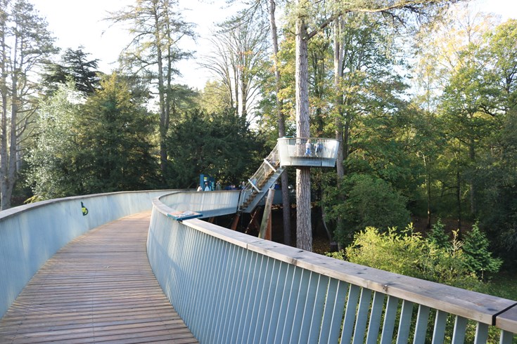canopybridge_westonbirtarboretum_non_organic