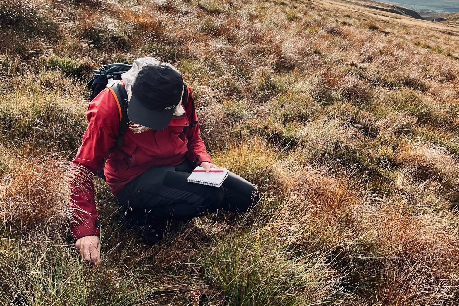 A person kneeling with a notebook in long grass