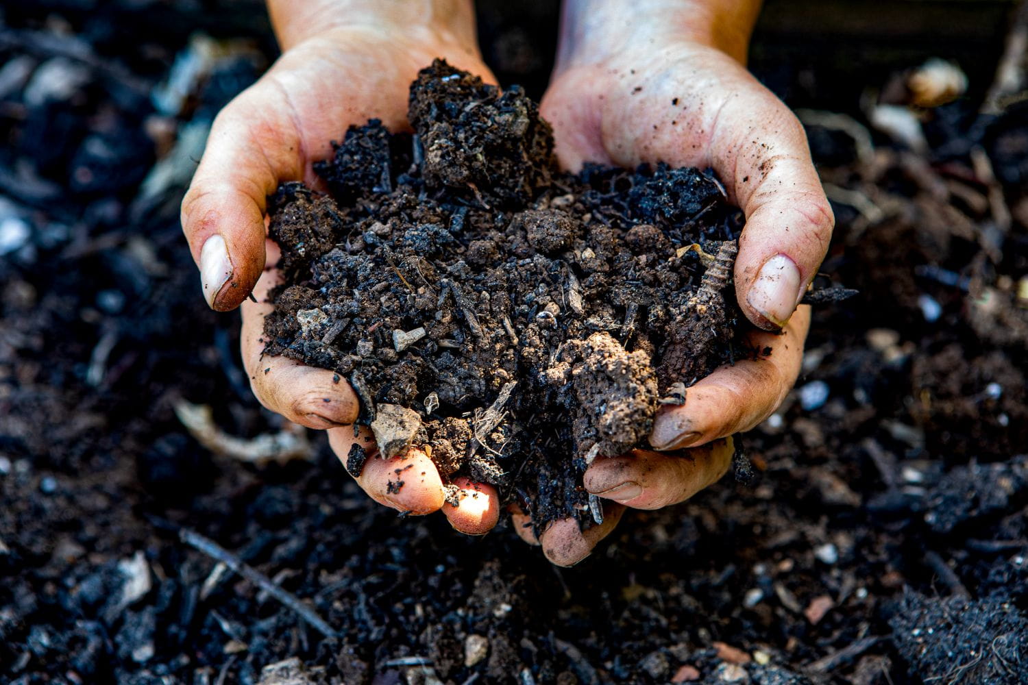 hands_in_soil_content_yeo_valley_organic_garden_17.05.22.jpg