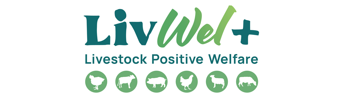 Livwel-logo-white-banner.jpg
