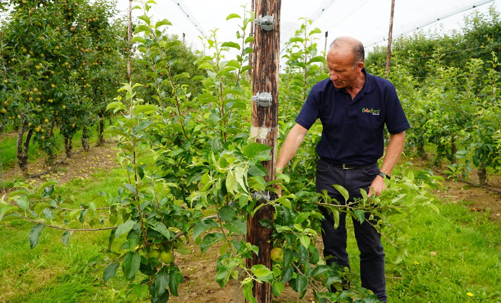 robert-england-boxford-fruit-farms_england