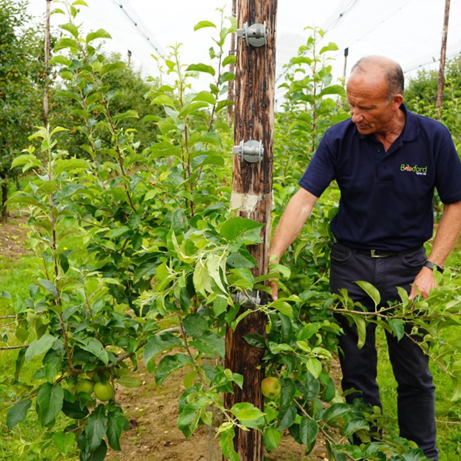 robert-england-boxford-fruit-farms_england