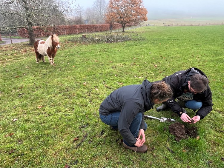 two people crouched down to inspect soil in a field, with trees and a horse in the background