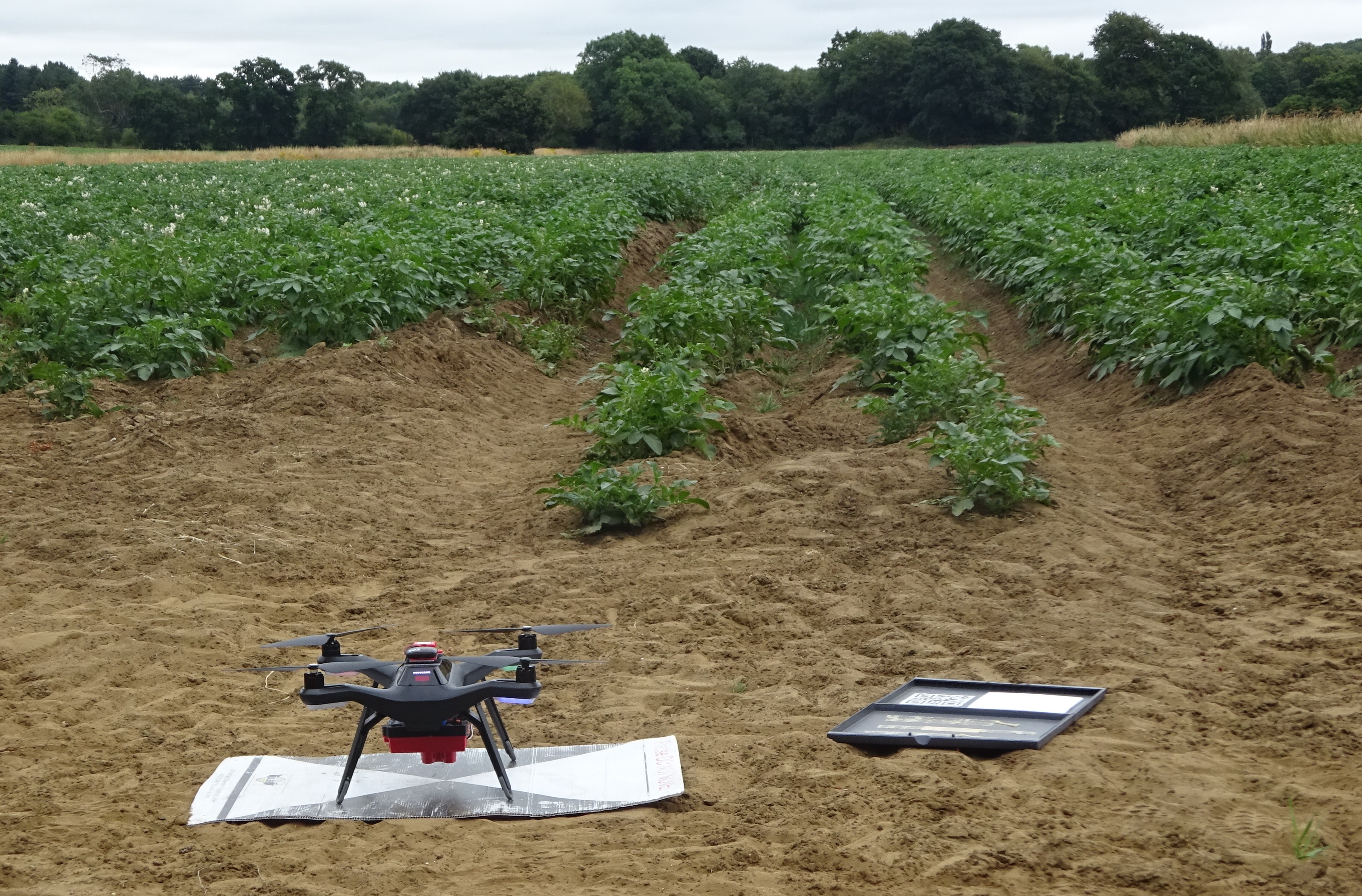 Supporting agritech