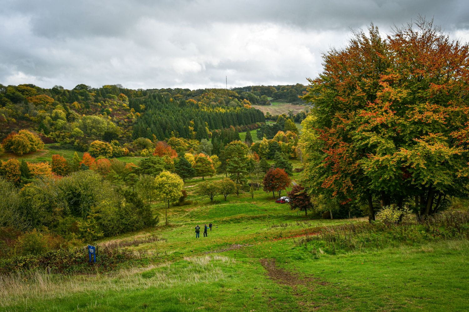 People walking in a leafy landscape in the autumn