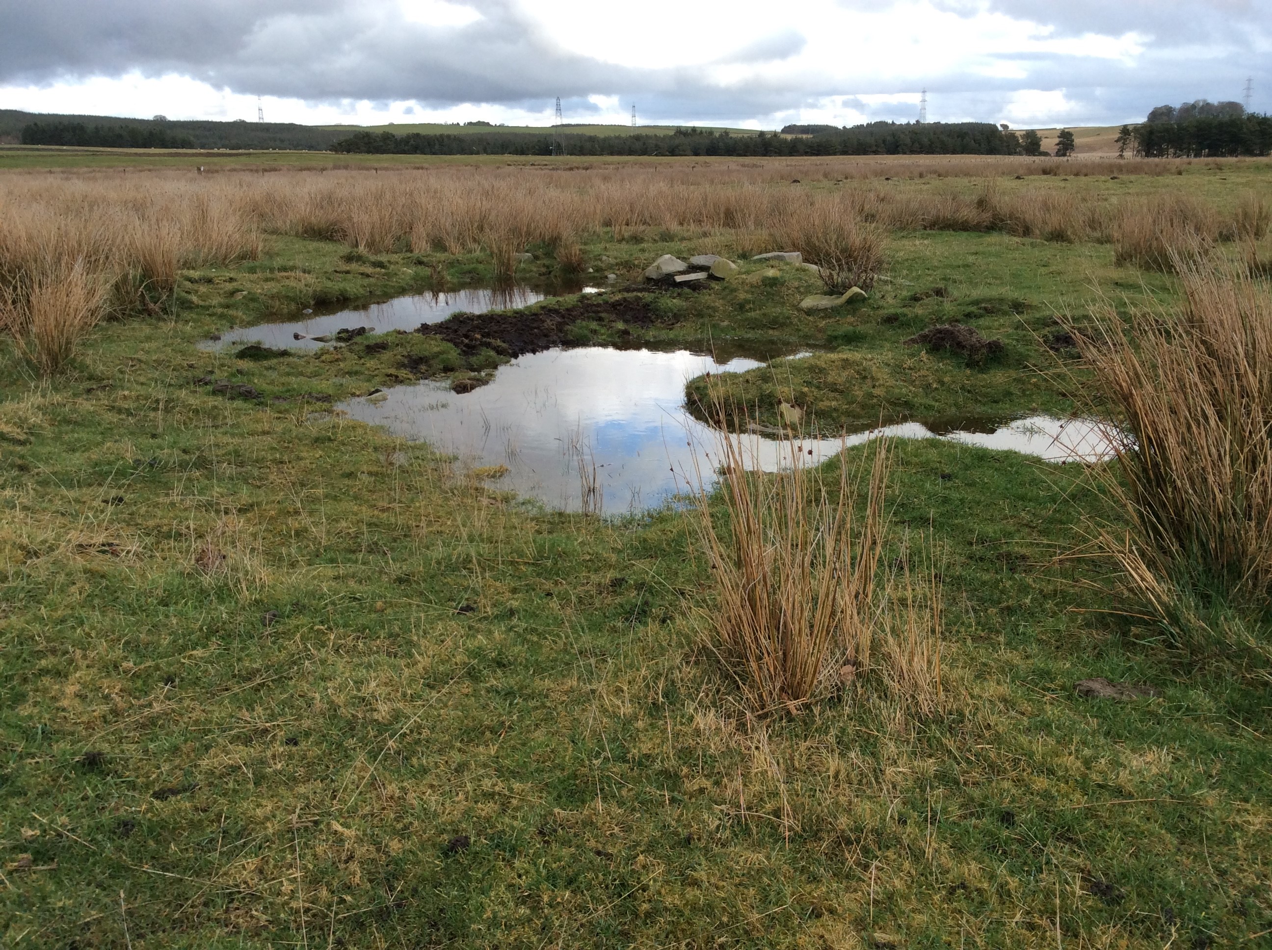 Shallow pond on farmland.