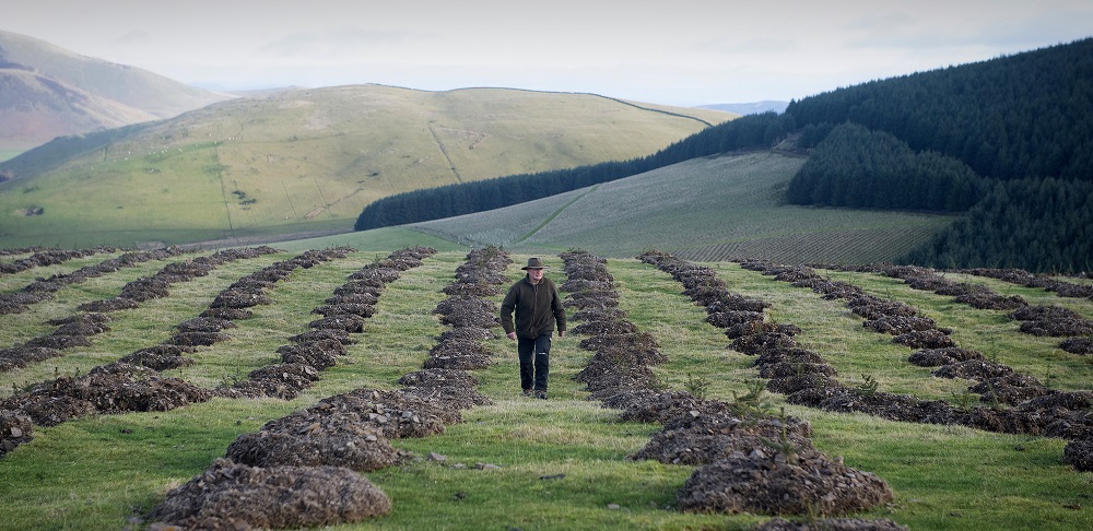 peter-gascoigne-agroforestry_scotland