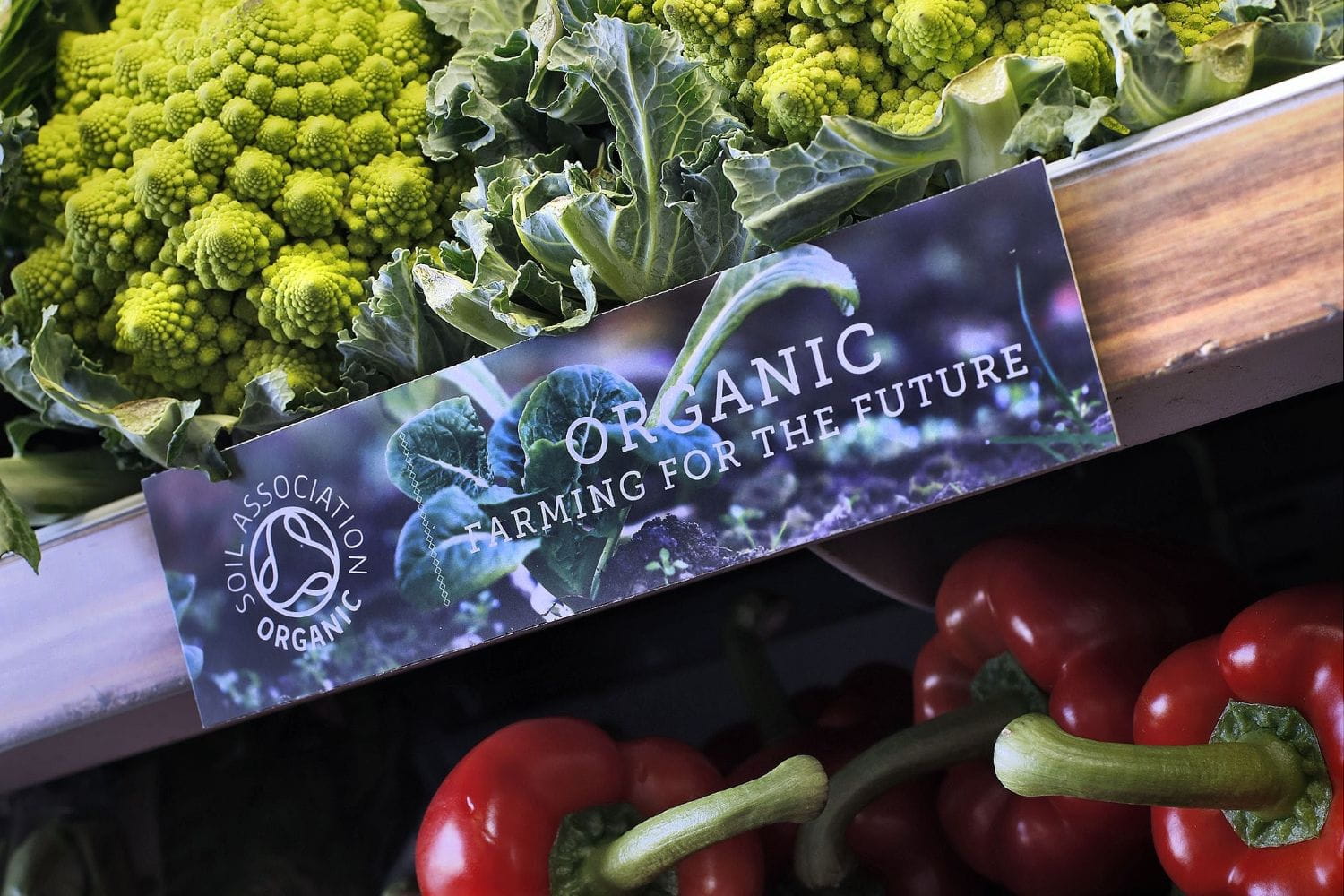 The Soil Association Certification organic symbol displayed near vegetables
