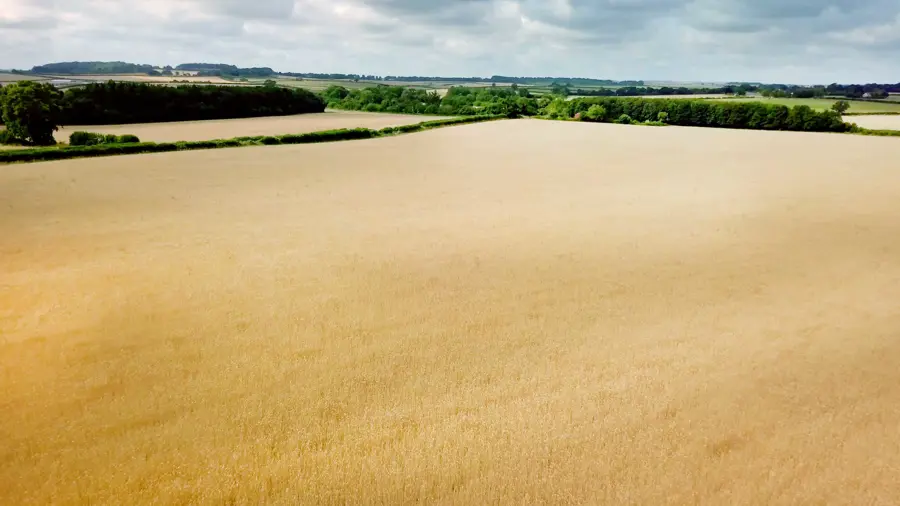 arable-farm-organic