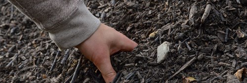 Hand digging into soil covered with organic matter. 