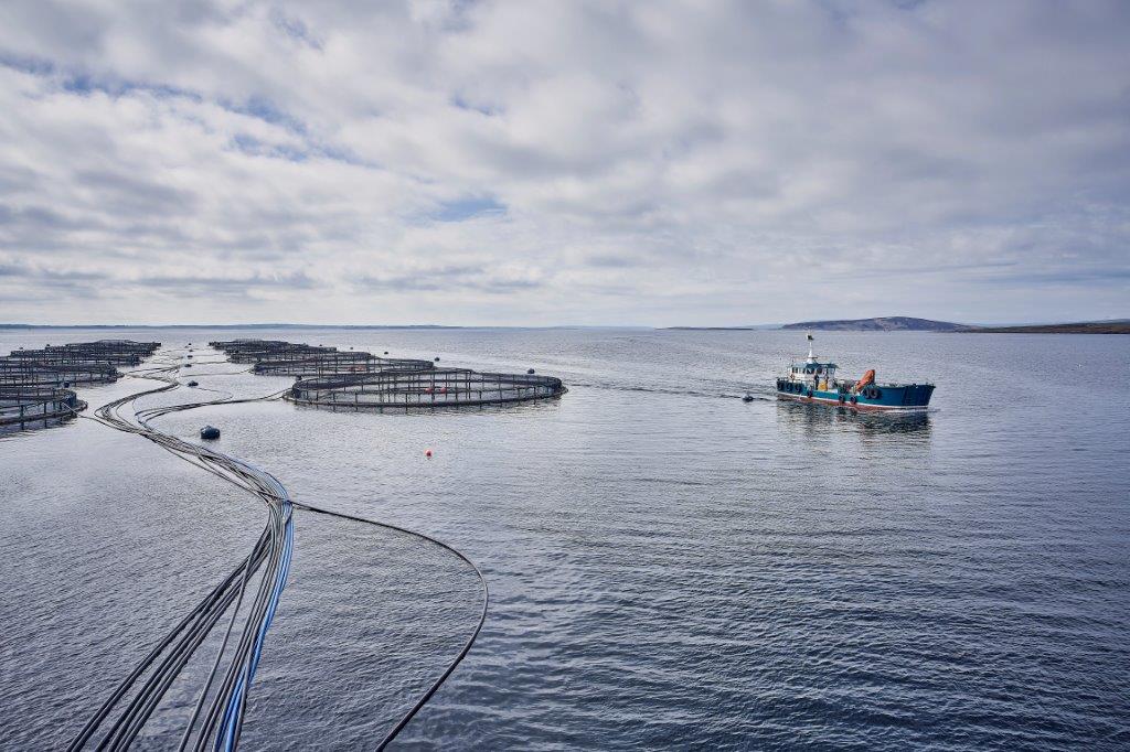 boats_cooke_aquaculture_orkney_hero_organic_13.02.23