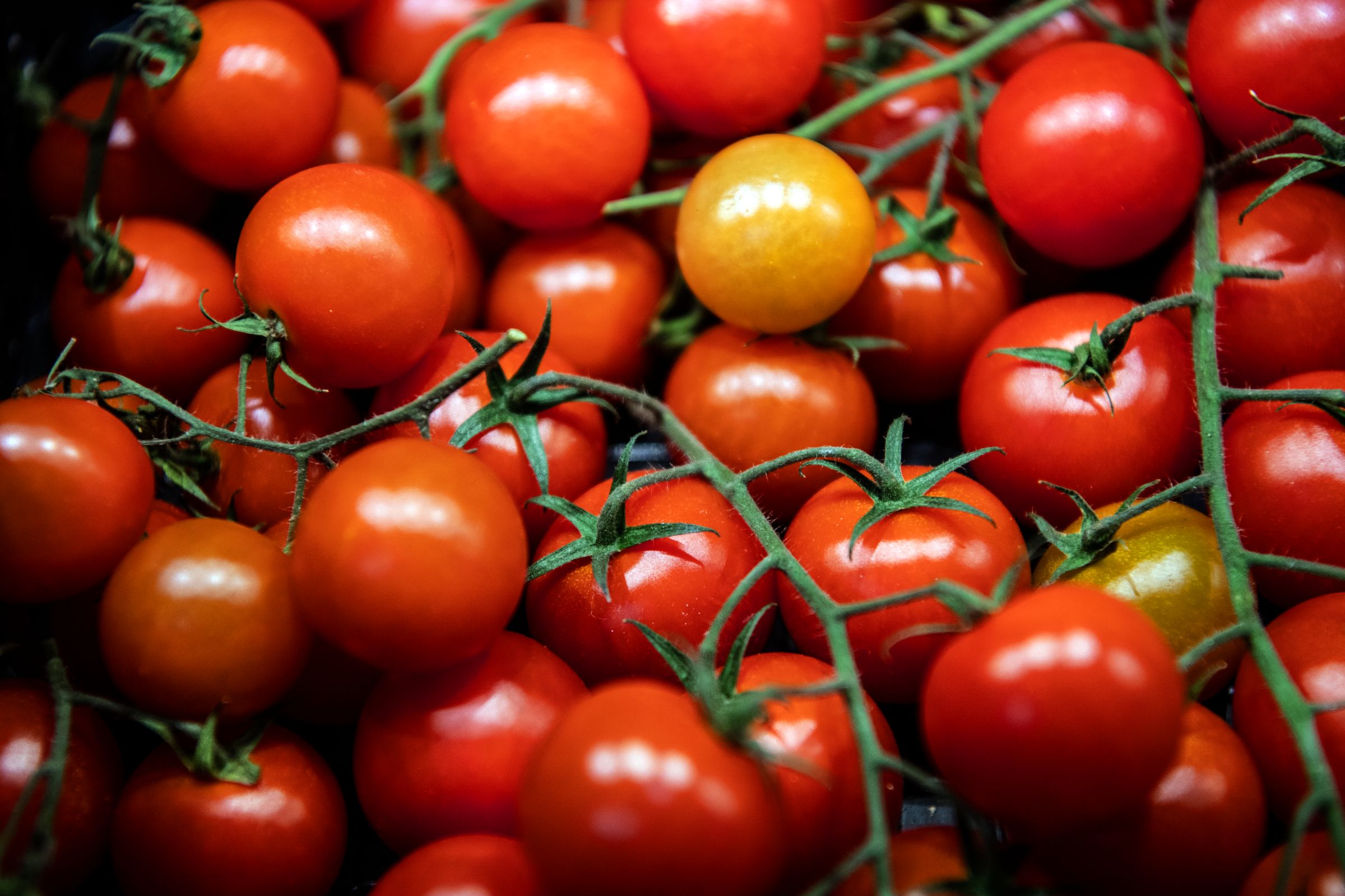 A selection of ripe cherry tomatoes