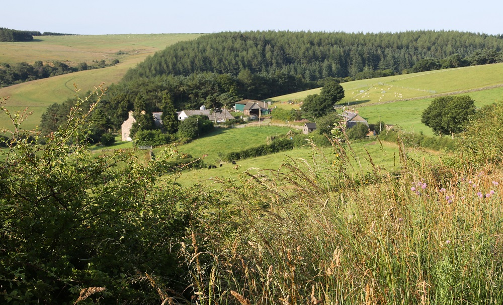 Hilly rural landscape with Barnside Farm at centre. 