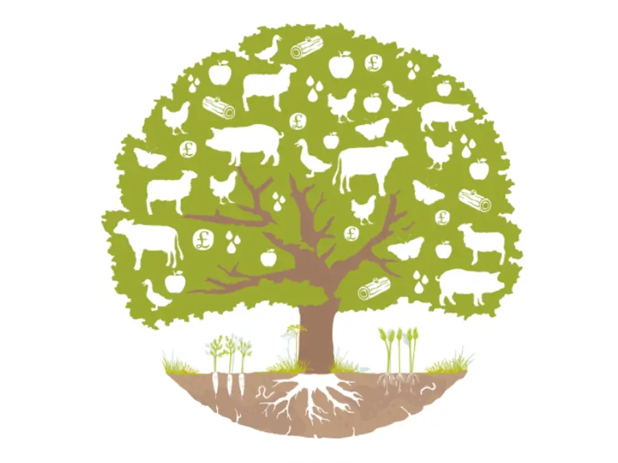 agroforestry-handbook-v2