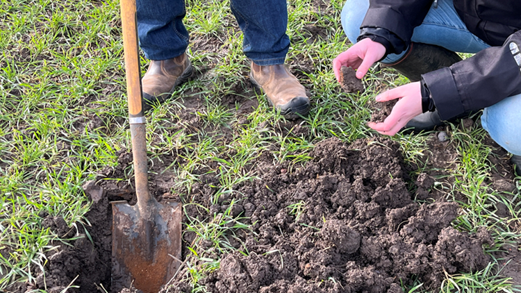A dug hole with spade, where a soil sample is taking place. 