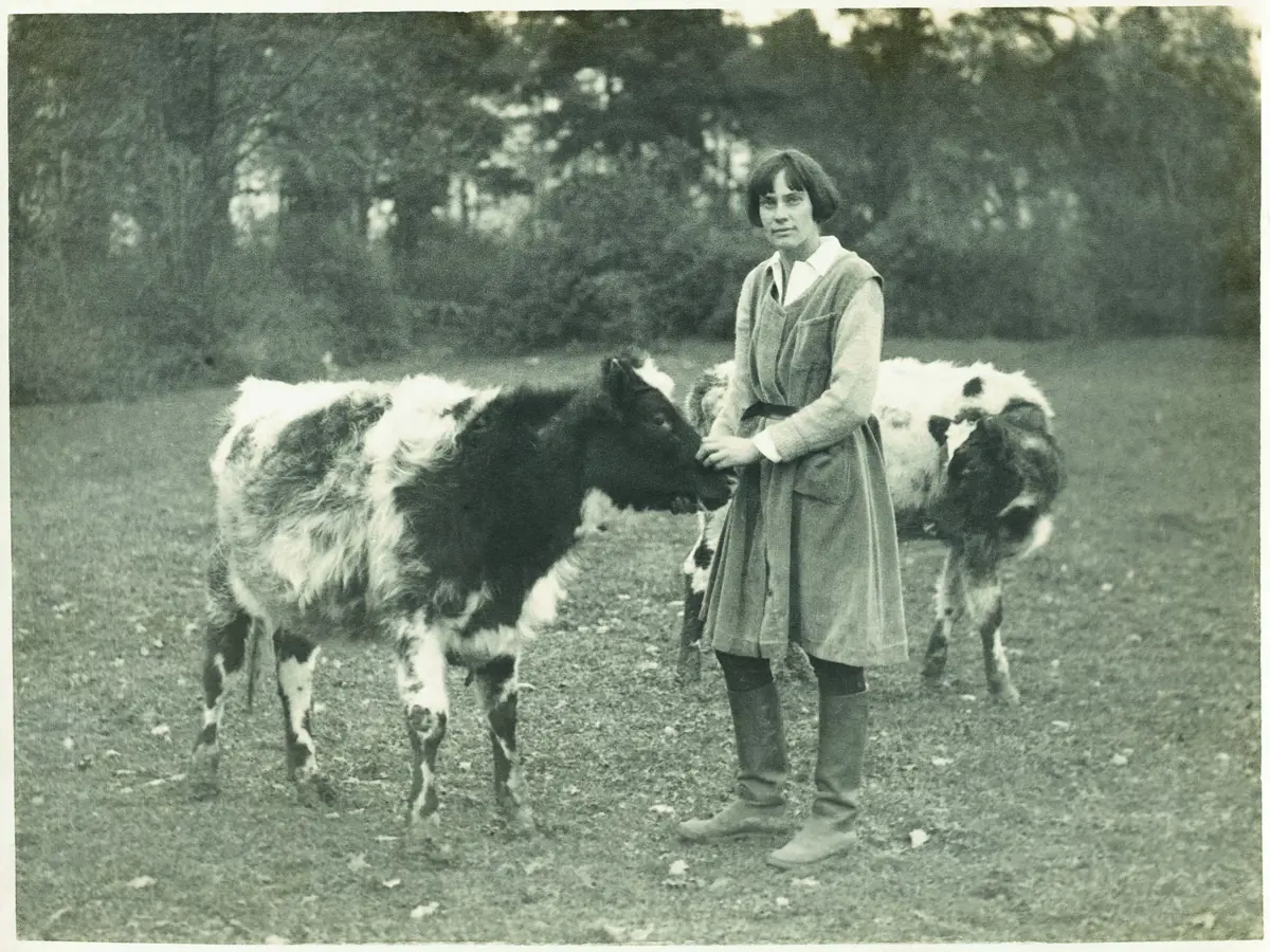 with-calves