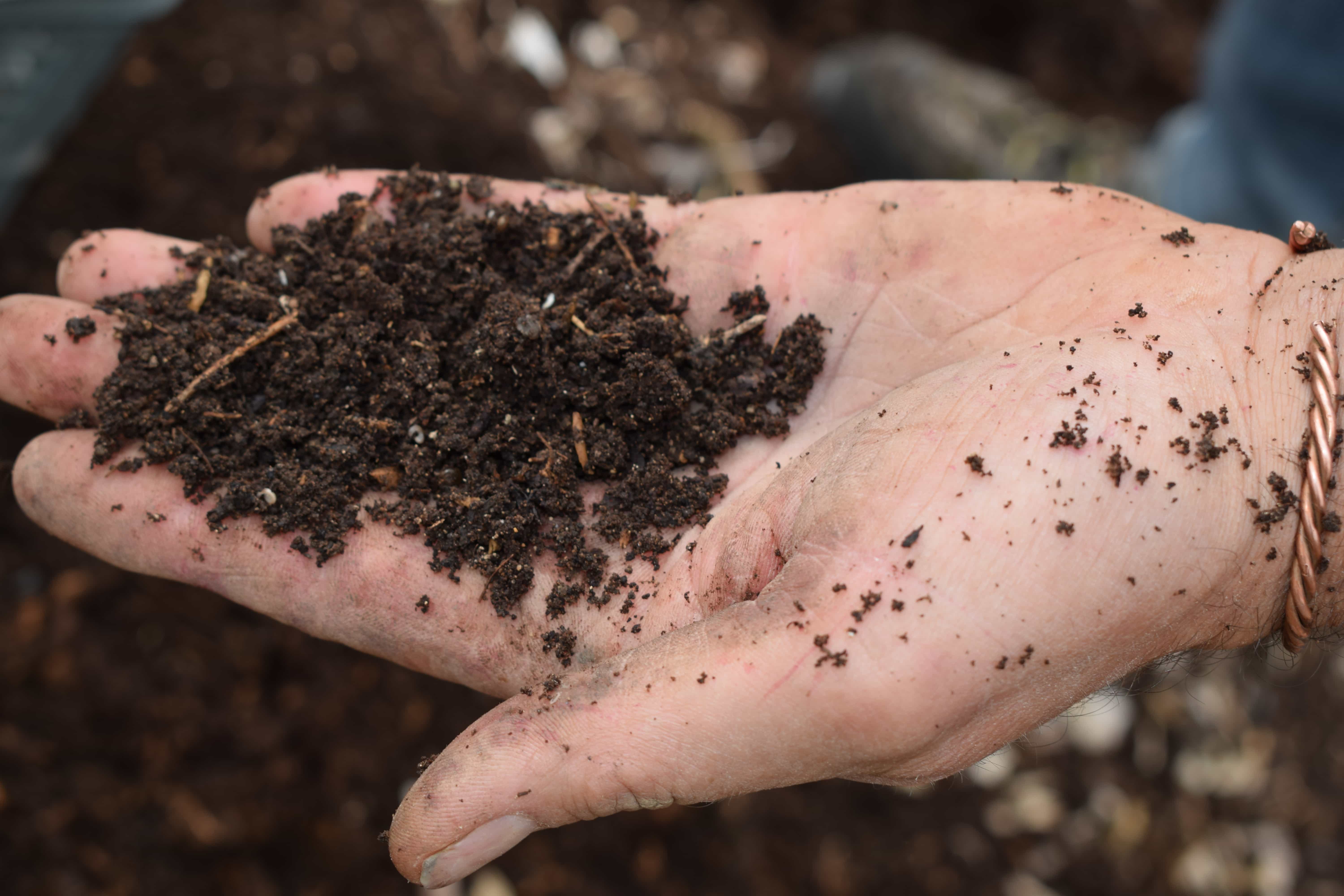 How to use woodchip in your garden