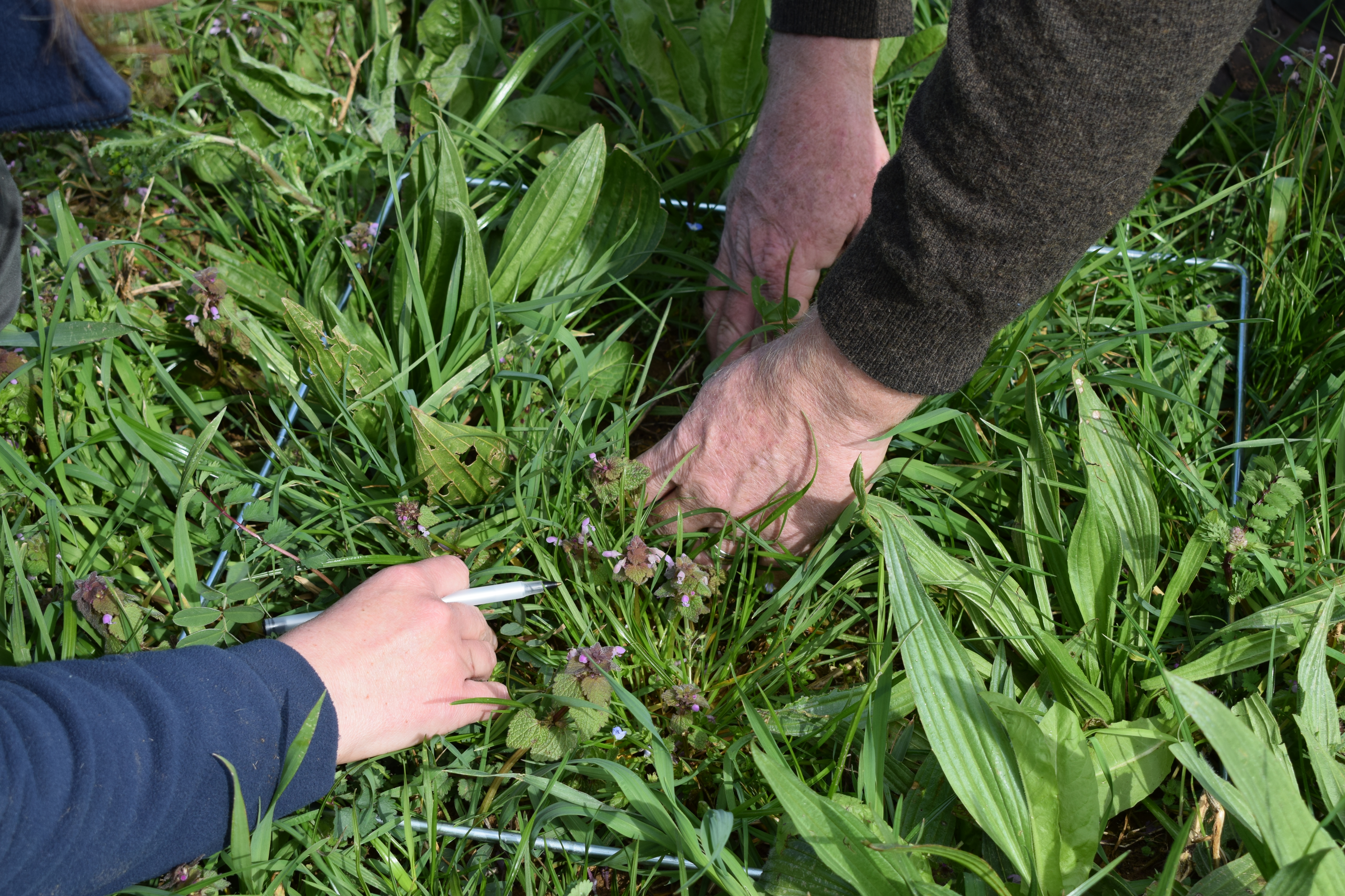 examining-soil-hands-pen