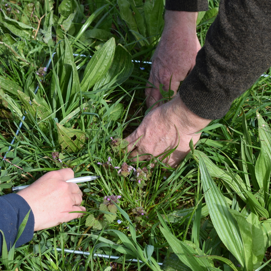 examining-soil-hands-pen