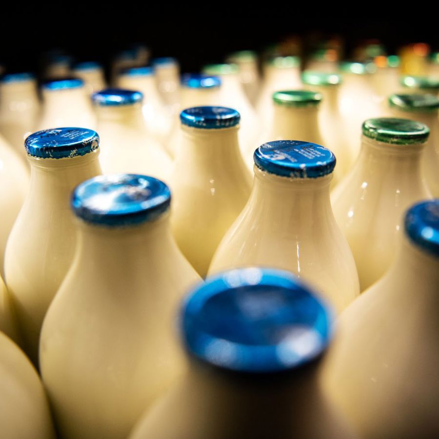 Glass milk bottles with metallic blue and green lids