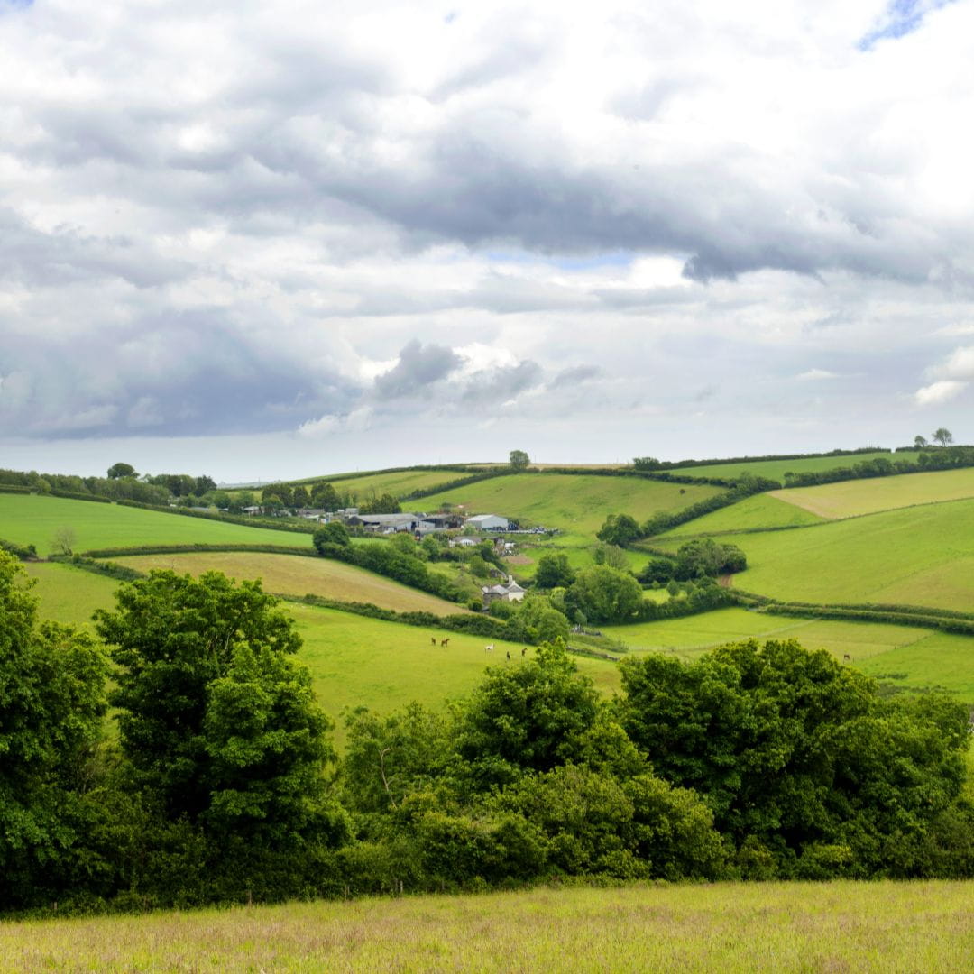 View over farmland