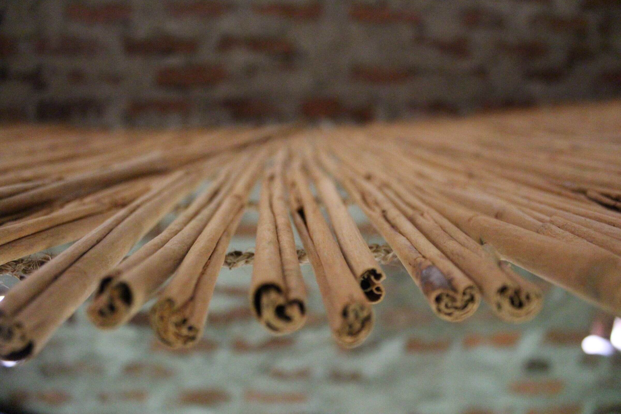 Cinnamon bark drying in roles