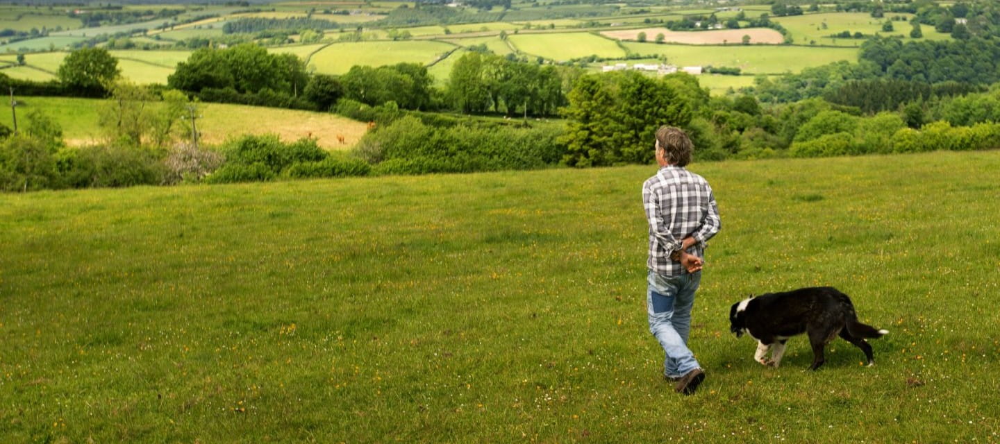 A farmer looks out over fields with a sheep dog at his heels