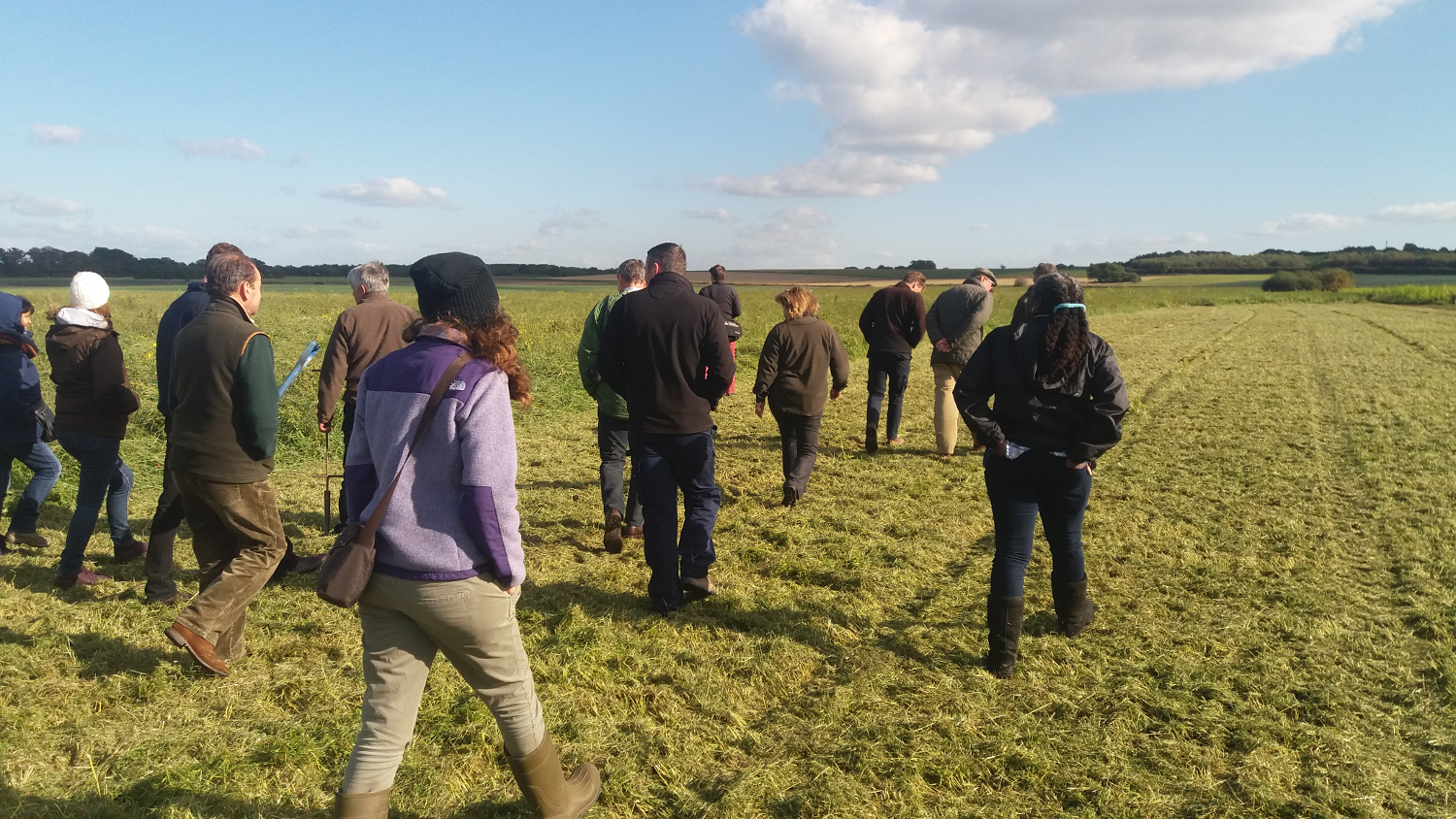 A group of 12 people striding through a field.