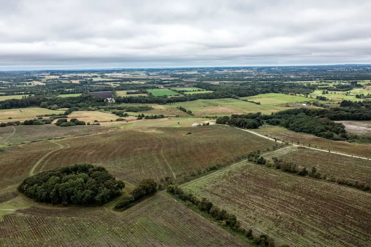 An aerial view of fields and trees