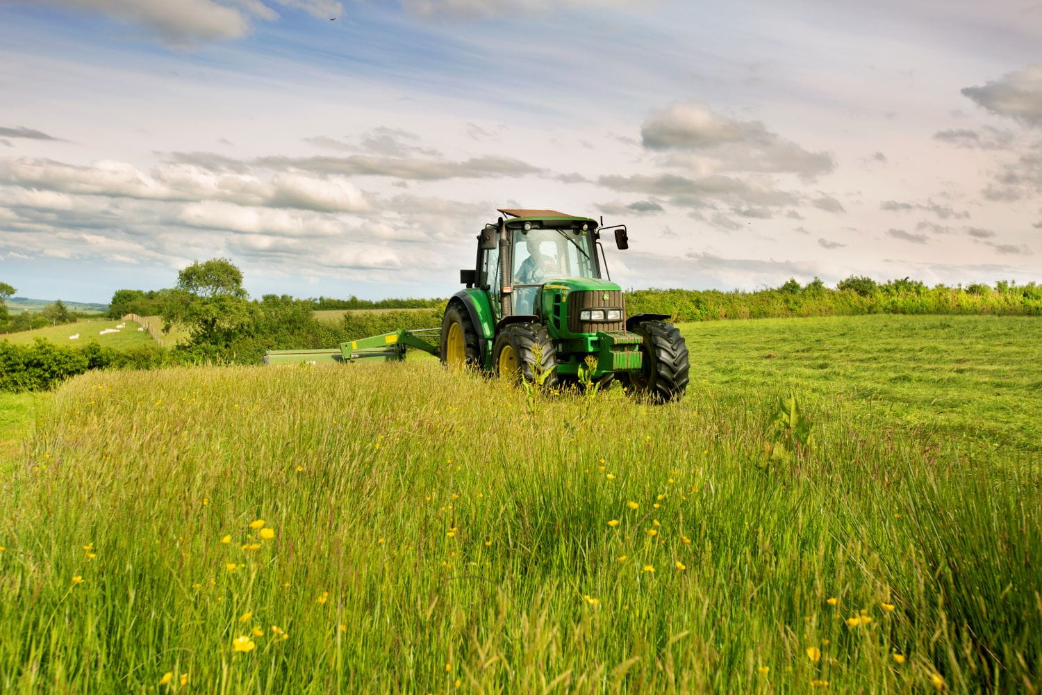 A tractor in a field of long grasses and wildflowers