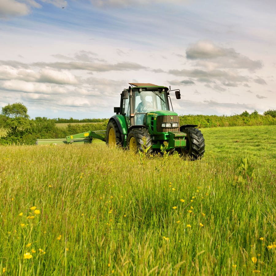 A tractor in a field of long grasses and wildflowers