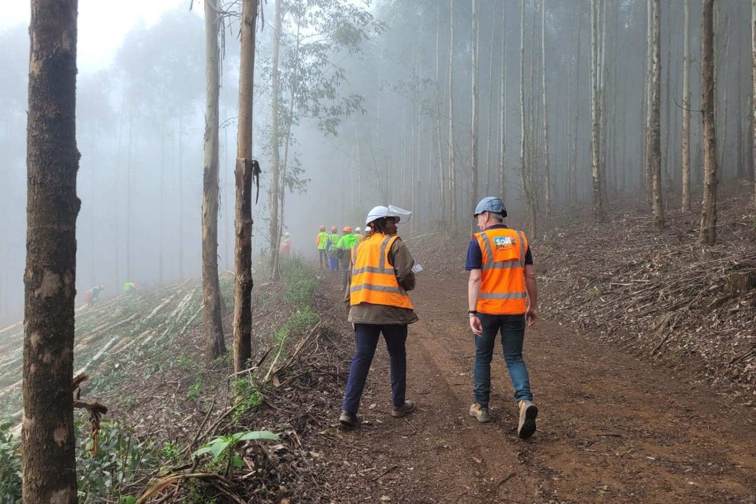 FSC core labour requirements