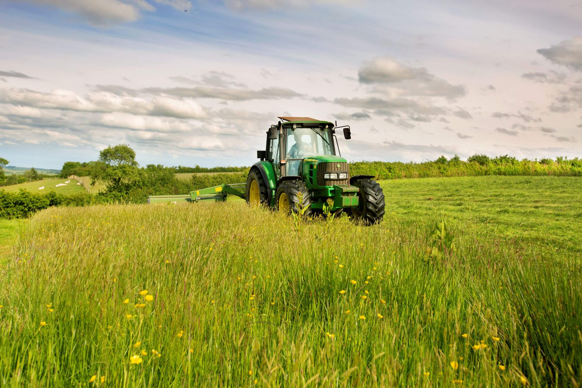 A tractor cutting silage in a field growing a mix of plant species