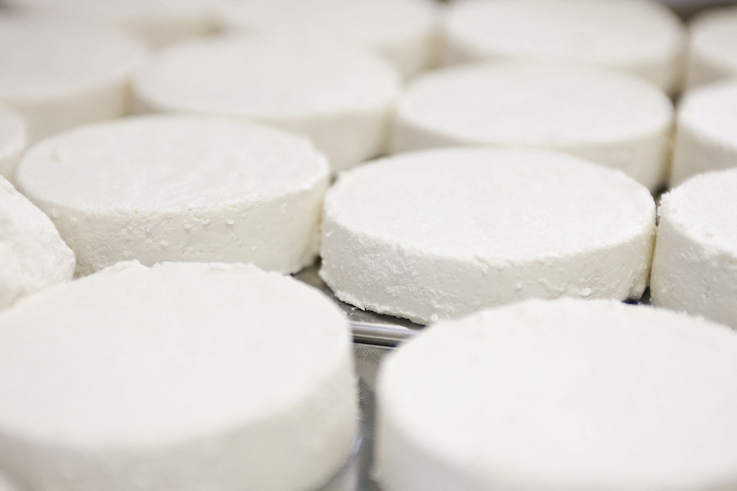 Multiple wheels of fresh organic goat cheese on a metal rack