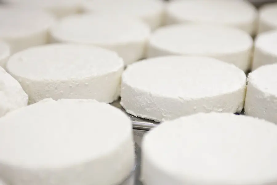 Multiple wheels of fresh organic goat cheese on a metal rack