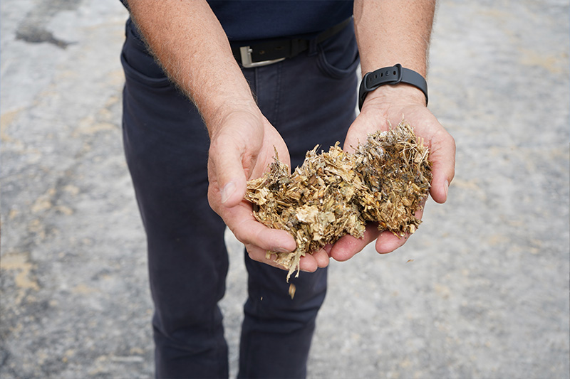 A person holds out dried woodchip in two hands. 